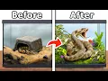 I Rescued a Snake from Facebook Marketplace
