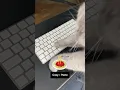 Horizontal Scroll Vev How-To