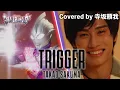 Download Lagu 【MAD】ウルトラマントリガー「Trigger／寺坂頼我」