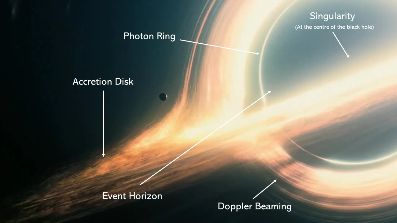 Anatomy of a Black Hole