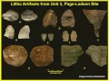 The Pleistocene Human Colonization of Interior North America David G Anderson Presentation