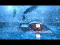 Wind Storm Cold Bone Chilling Winter Wind Storm Cold Weather BLIZZARD AMBIENCE