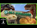 TOURING THE BIGGEST REPTILE SHOP ON THE WEST COAST Pet Kingdom San Diego