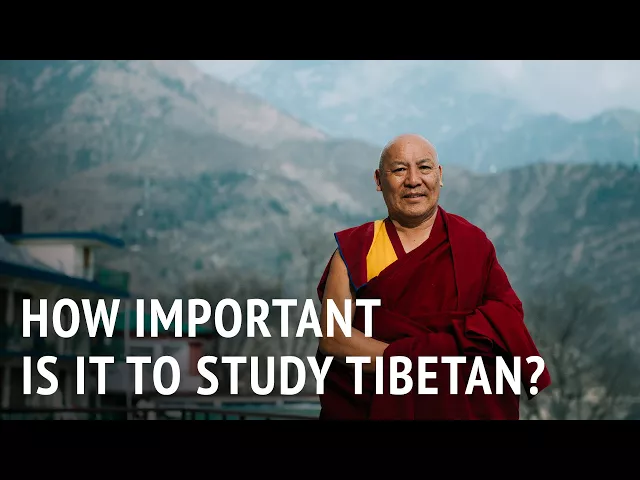 How Important is it to Study Tibetan? | Geshe Lhakdor