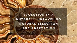 Evolution in a Nutshell Unraveling Natural Selection and Adaptation