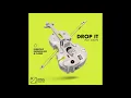 Dubdogz X Mariana BO X Flakkë - Drop It Ft. LUISAH