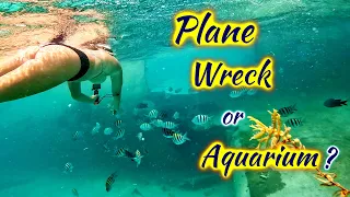 SDA166 Plane Wreck or Aquarium?