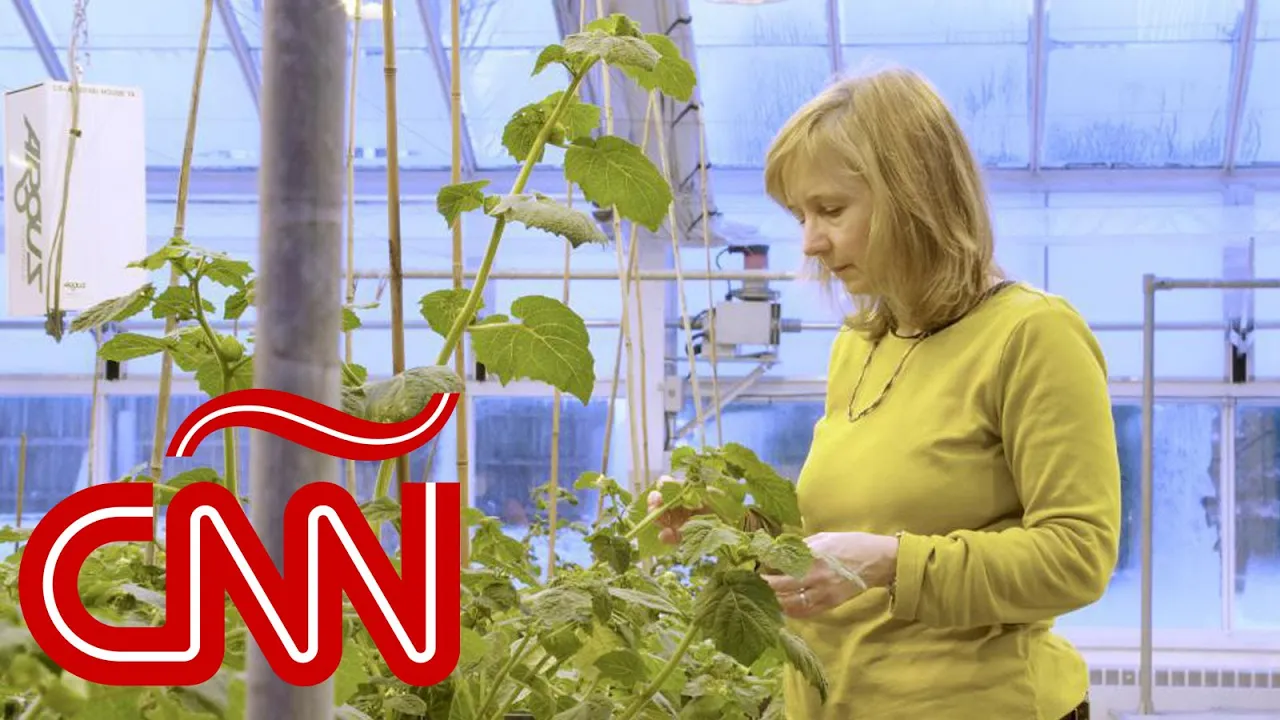 Editan ADN de plantas para adaptarlas al cambio climático