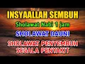 Lagu Sholawat Dauni Tanpa Musik 1 jam - Sholawat Penyembuh Segala Penyakit
