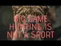 Why big game hunting is NOT A SPORT