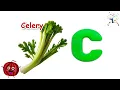 Celery Song Crunchy Green Fun for Kids 3D Animated Vegetable Song EduFam