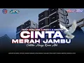 Download Lagu DJ CINTA MERAH JAMBU TRAP THAILAND X PARTY X MIDDLE NROTOK | LEPO RVLTN