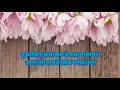 MAJHYA DILA CHO  | LYRICS | LUCKY | MARATHI SONG | LYRICAL VIDEO |