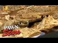 RARE PISTOL GROWN INTO A TREE Season 10 Pawn Stars