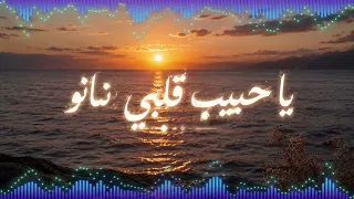                               تووليت  ساينت ليفانت   نانو                        دندنها