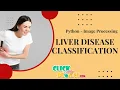 Python Image Processing Projects - Liver Disease Classification using Deep Learning