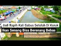Lagu kali gabus jadi lebih rapih setelah di keruk, bersih ikan bisa berkembang biak \u0026 ekositem membaik