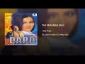 Teri Mohabbat Mein