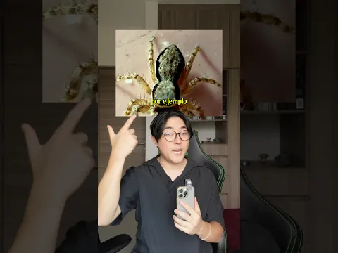 Insectos que te ayudan en la casa 🕷️