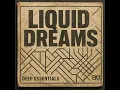 Download Lagu Shadow Groove · Deep Essentials