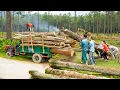 Lagu Use Truck To Buy Big Wood From villager And Transport Wood To The Wood Factory - Farm Life