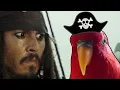 Pirate Birb