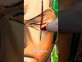 Drawing Zoro from One Piece