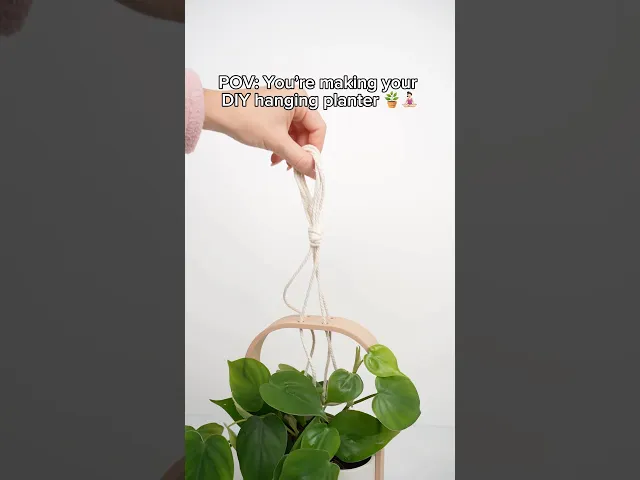 HANGIS Hanging Planter I Frame Planter video thumbnail