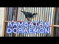 Download Lagu Rambatan doraemon atau rambatan loreng