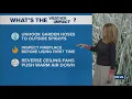 13Weather Forecast 6 p m update Nov 10 2025