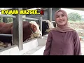 Download Lagu CEWE CANTIK BOKING SAPI GITA KDI GOYANG DI KANDANG ‼️