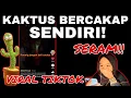 Lagu VIRAL TIKTOK! SERAM PATUNG KAKTUS BOLEH BERCAKAP KACAU ORANG!