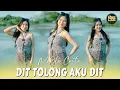 Download Lagu Nayla Cinta - Dit Tolong Aku Dit (DJ Remix)