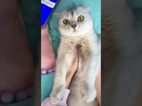 Olha que fofura🥰