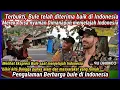 Download Lagu Keakraban Bule dan warga lokal membuat mereka merasa Nyaman di Indonesia