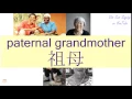 PATERNAL GRANDMOTHER in Cantonese - Flashcard