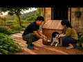 Trieu Kang Builds Mick s Dream Home with His Own Hands - A Journey Full of Love and Surprises