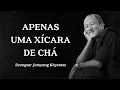 Lagu Dzongsar Jamyang Khyentse - Apenas Uma Xícara de Chá