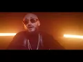 Red Flag - Blidog