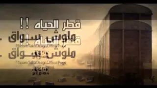 مهرجان اتحاد القوة والفرسان   فيلو   زيزو النوبي       دندنها