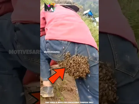 😱ഈ ടോയ്ലറ്റ് കണ്ടാലും മതി 😂 Amazing toilets #shorts #shortsfeed #facts