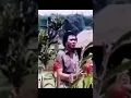 Lagu Rhoma irama / Primadona Desa