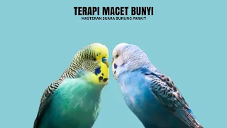 Download TERAPI MACET BUNYI : Masteran Suara Burung Parkit MP3