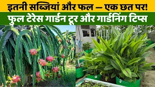 देखो मेरी छत पर कितनी सब्जियां और फल उग रहे हैं! पूरा टेरेस गार्डन टूर | Terrace Garden Tour Hindi