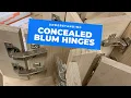 All the main Blum hinge types explained