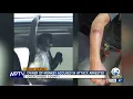 Okeechobee County woman returned to Florida after arrest in Home Depot monkey attack