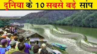  10 10 biggest snake in the world in hindi