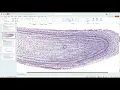 Mitosis Lab Guidance