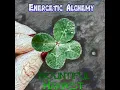 Blessings for the Hearth and Home