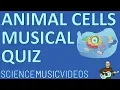 Animal Cells Musical Quiz